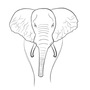 https://theartspread.org/wp-content/uploads/2023/07/Elephant-Thumb-300x300.webp