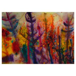 'Colorful Woods'