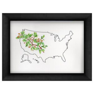 'The United States: Where Roots Can Grow' - The Legacy Collection